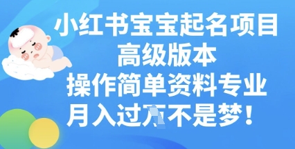 小红书宝宝起名项目高级版本，操作简单，资料专业，月入过W-创客岛