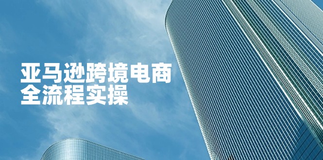 （14252期）亚马逊跨境电商全流程实操，教你从零开始，掌握店铺运营与广告技巧-创客岛