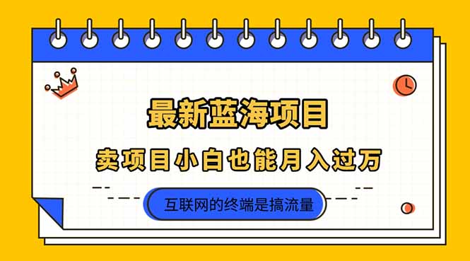(14289期)2025年最新蓝海项目,卖项目小白也能月入过万-创客岛