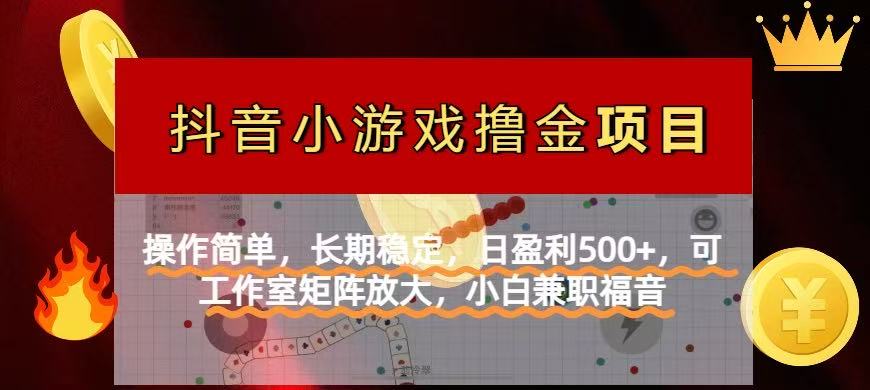 (14290期)【抖音小游戏发行人计划项目】操作简单,长期稳定,日盈利500+,可工作...-创客岛