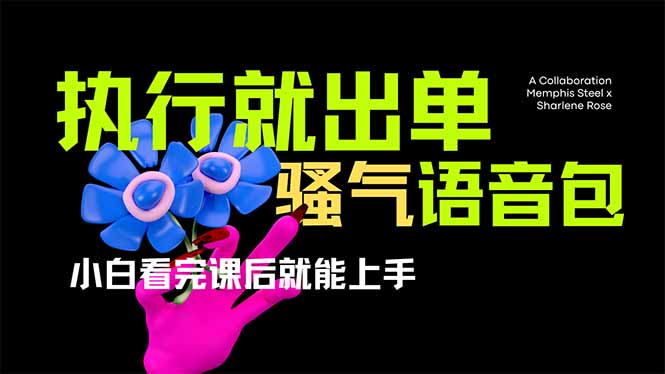 （14170期）爆火全网的开车导航骚气语音包,只要执行就出单，小白看完课程就能实操...-创客岛